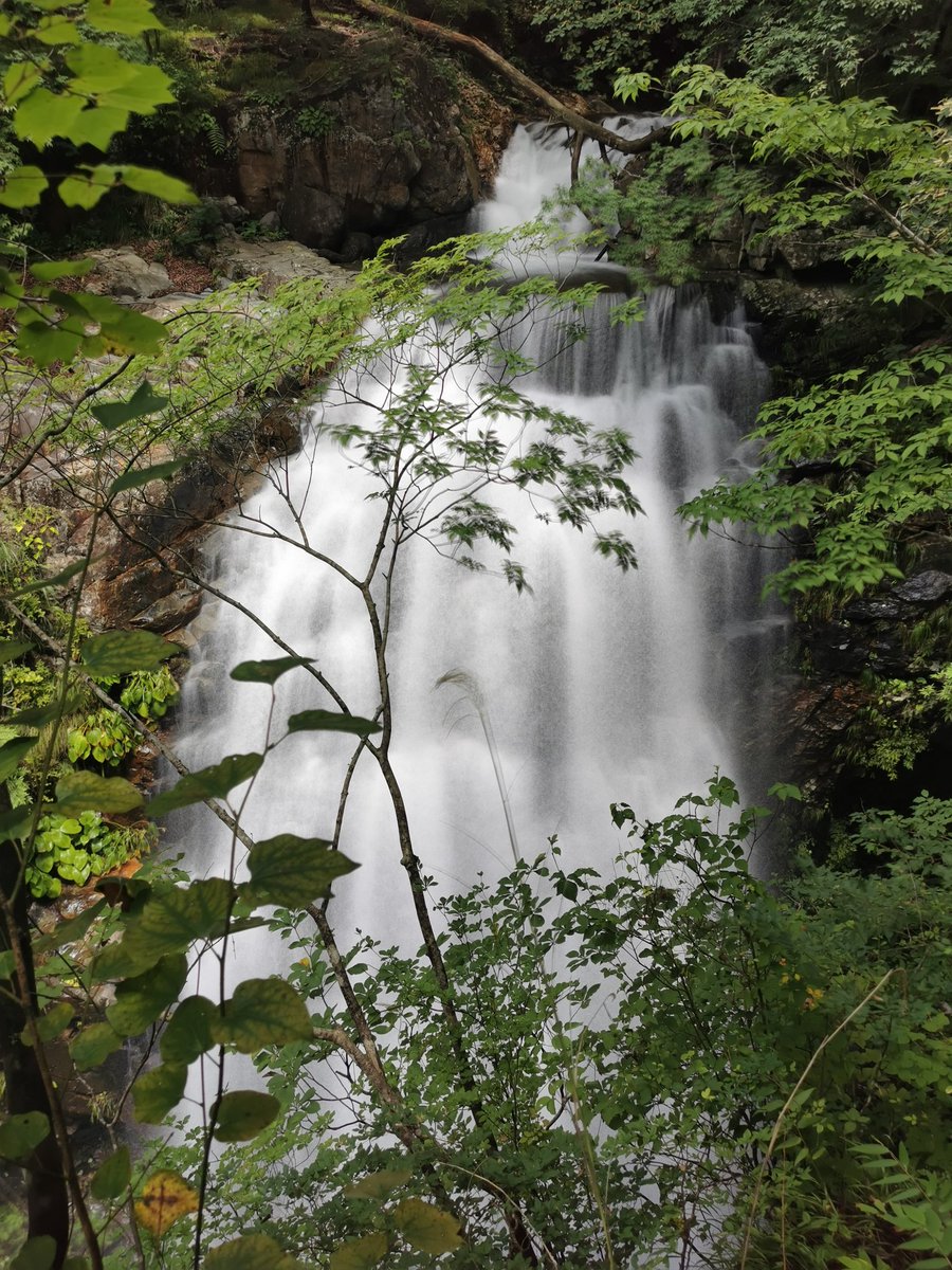 inkya_1011's tweet image. #8月を写真4枚で振り返る 
#P30Pro