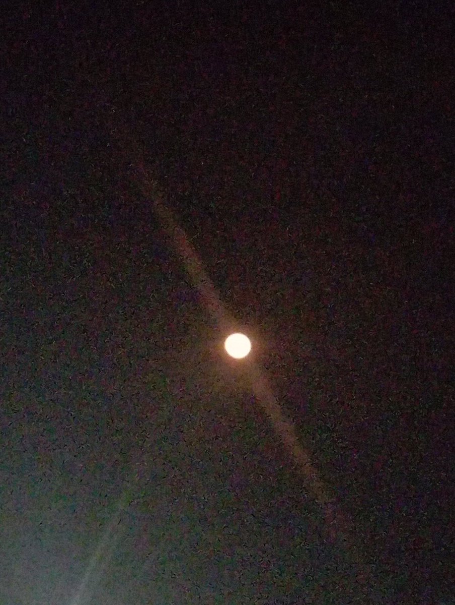 Happy full moon in Pisces! My camera is shit but look at her beaming.