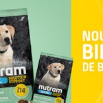 Photo by Nutram Pet Products (@nutram)