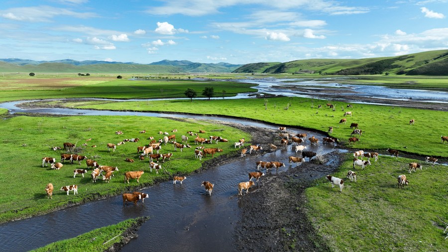 XinhuaItalia's tweet photo. Il colosso cinese del settore lattiero-caseario Inner Mongolia Mengniu Dairy (Group) Co., Ltd. ha registrato un utile operativo di 3,27 miliardi di yuan https://t.co/NNIAQyaDNp
#MengniuDairyPerformance 🥛📊 #FinancialGrowth 📈💰 #HalfYearReport 📅📈 #OperationalProfit 🏦💼 https://t.co/k79DLtiaDc