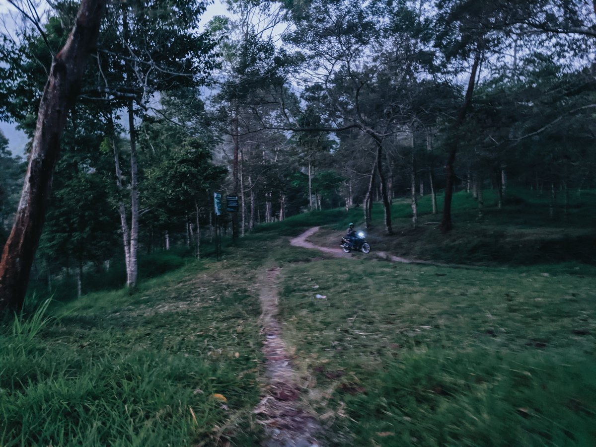bgsnrd_'s tweet photo. Trabas the wild #merusak #alam #ekosistem https://t.co/MU6g7GNxAv