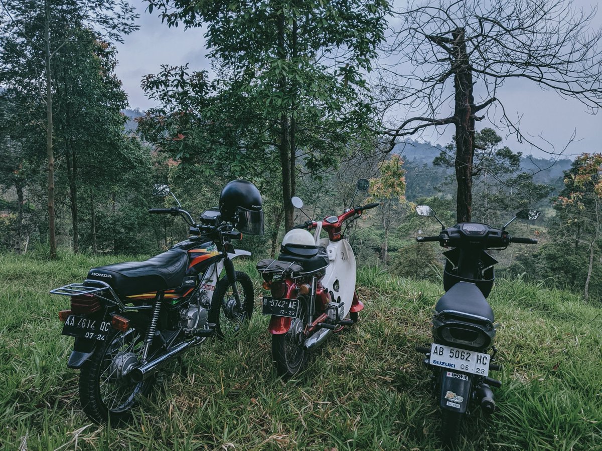 bgsnrd_'s tweet photo. Trabas the wild #merusak #alam #ekosistem https://t.co/MU6g7GNxAv