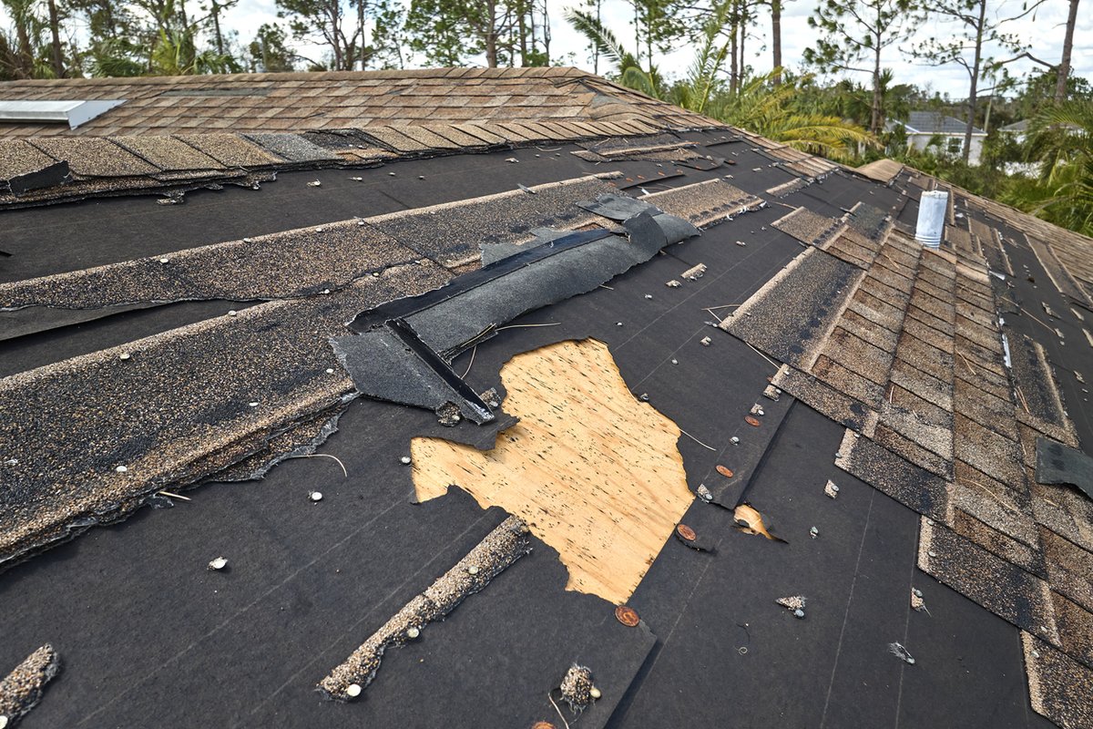 Got roof damage? Is it time for a new one? Then it's time to consider solar as well. Combining a new roof with solar is a great way to leverage labor and financing options for the best deal. Reach out! #roof #newroof #roofingcompanies #Florida #solar #solarpanels