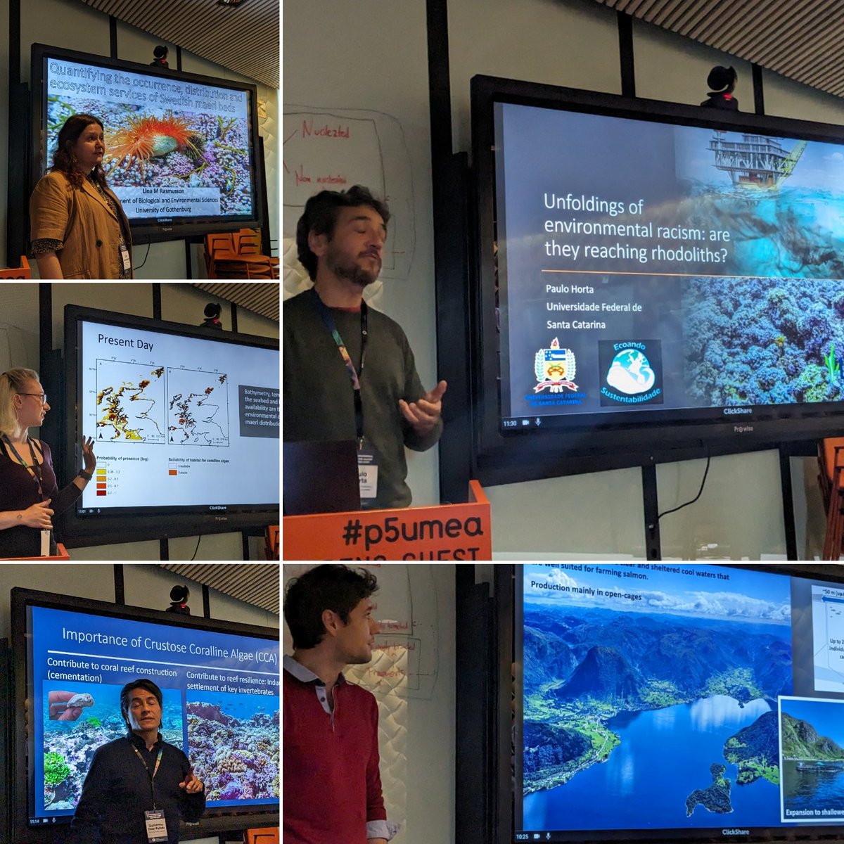 Fantastic morning of coralline algae Conservation and Management - we need more policy, more public awareness, better understanding of where they are, and future-proof strategies to maximize the future survival of coralline algae and their associated communities! #ICAM2023