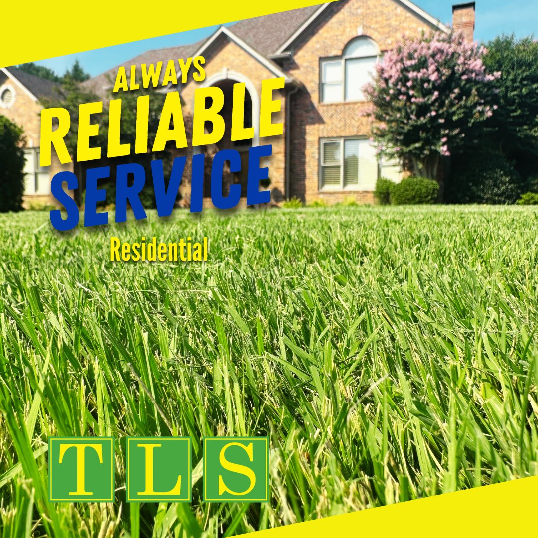 🌱Green and healthy grass at an affordable price!

📲 Call 501-812-0050 to get started!

#TLSArkansas #GreenerWithUs #LawnGoals #GreenerLawns #HealthyGreens #VibrantLandscapes
