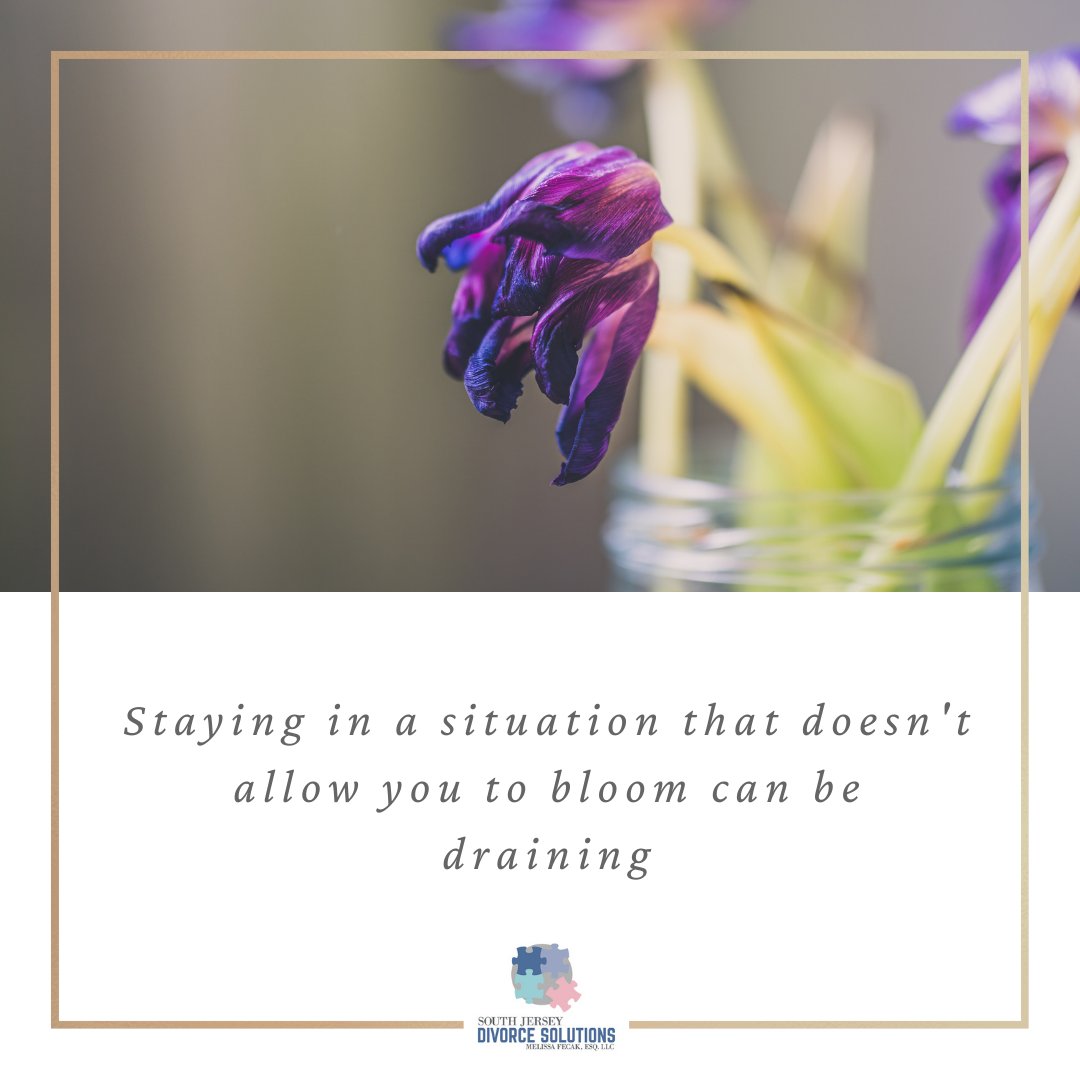 Staying in a situation that doesn't allow you to bloom can be draining. Consider if it's time for a new beginning. 🌺 #EmbraceChange #DivorceOptions #MakingAChange #Divorce #NewBeginnings #SJDivorceSolutions