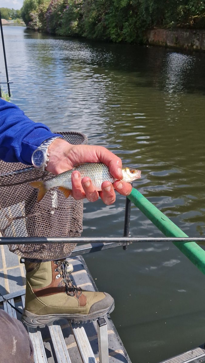 run_taz's tweet photo. A busy day on our canals with @CRTWestMidlands
#letswalk
#letswalktamevalleycanal
#letsfish
@PortLoop
@CIVIC_SQUARE
@__TheFrontRoom
@CanalRiverTrust
@CRTBoating
@CRTFisheries https://t.co/ClAqZLQqD7