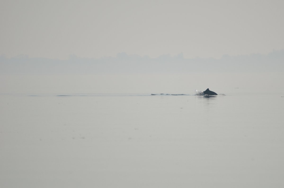 SDU Climate Cluster tweet media