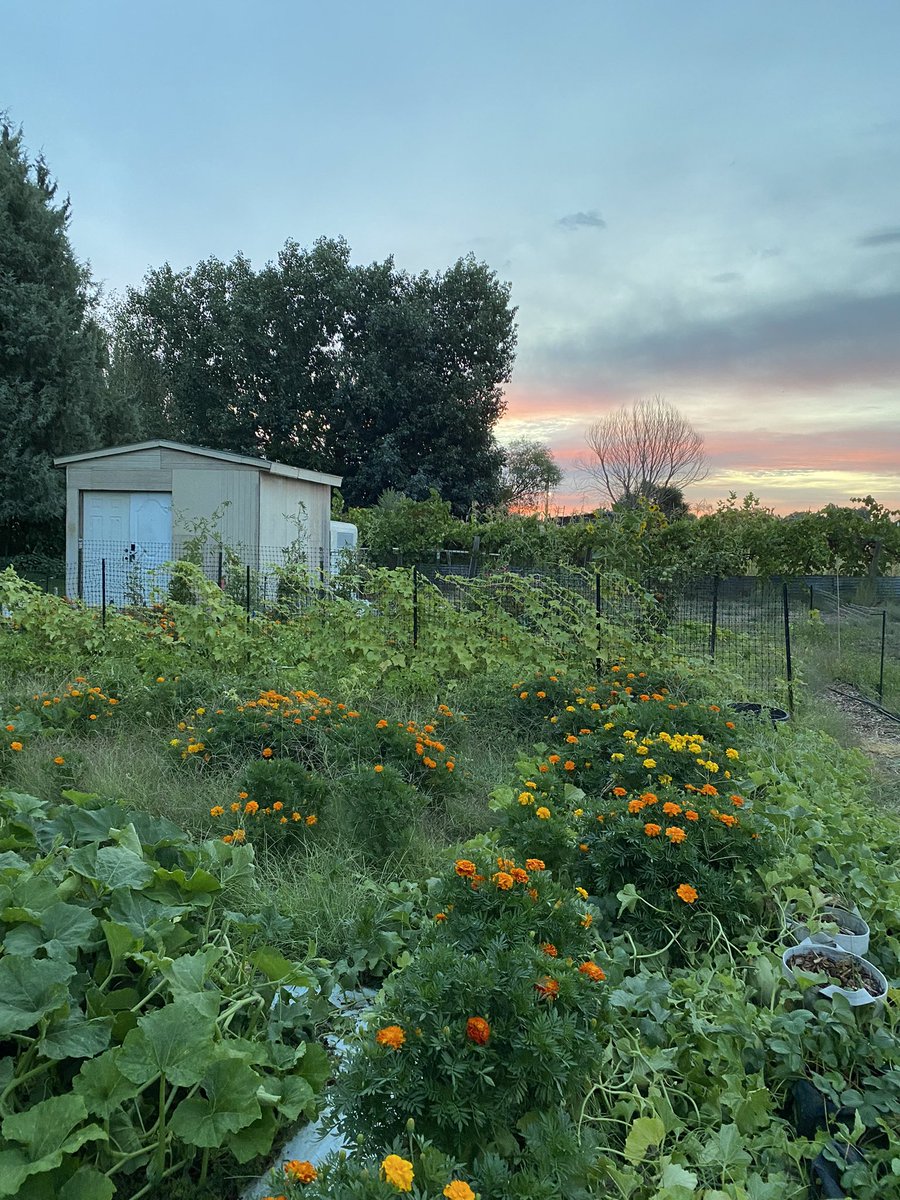 HHMedical1's tweet image. #EYE #EMBODY #EVERYTHING 🌞