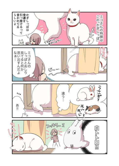 飼い猫の尻が○○に似てる話 