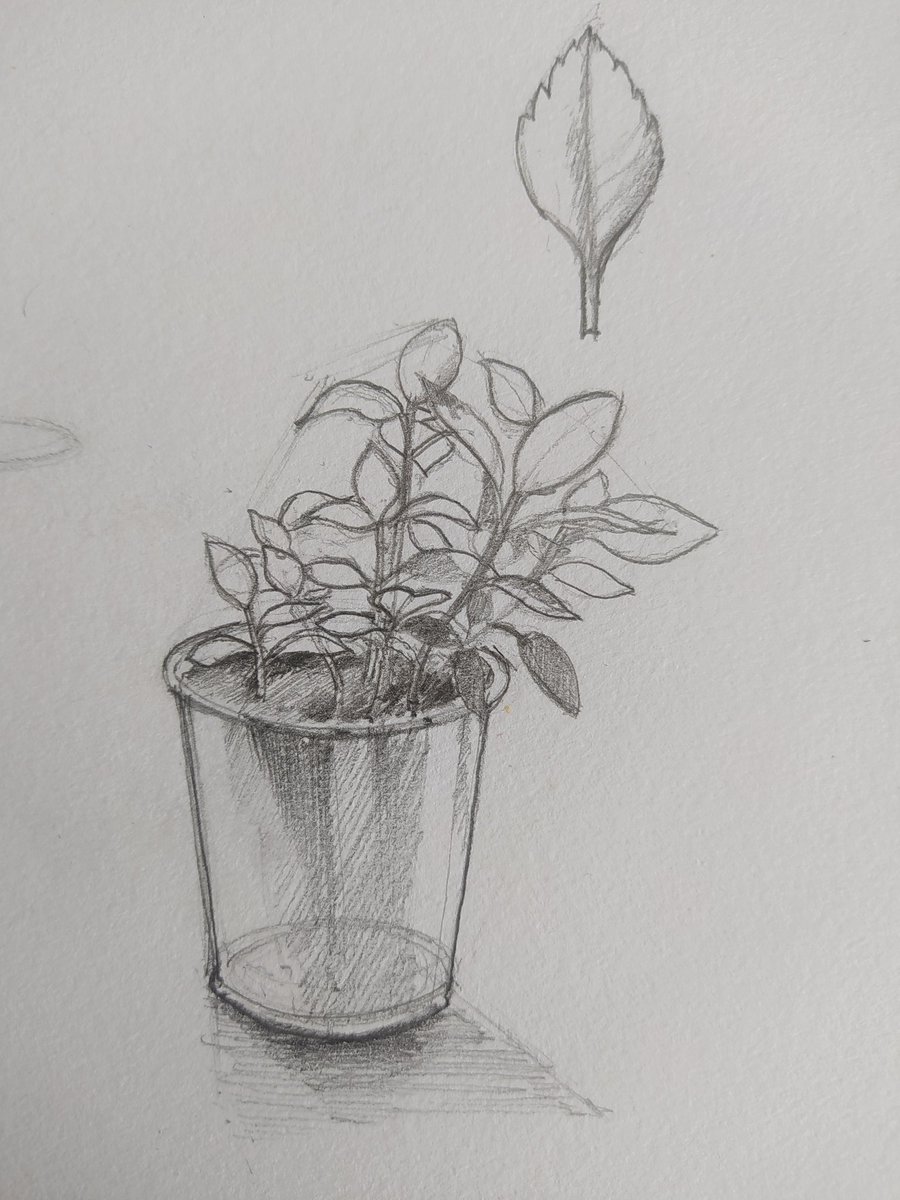 AndrsAlv's tweet photo. Basil. Yes. https://t.co/8isGvEMt89