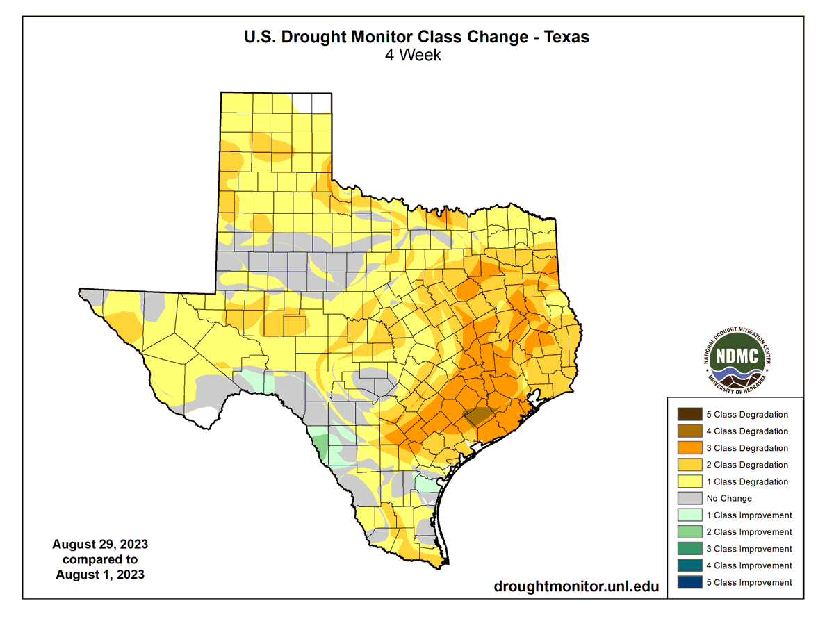 What does a month of almost no rain and scorching temperatures get you?  This is the 4 week change in drought conditions. You can see Harold's footprint. But statewide, the drought is flexing.

And there is minimal relief in the short and medium range.

#txwx #txdrought