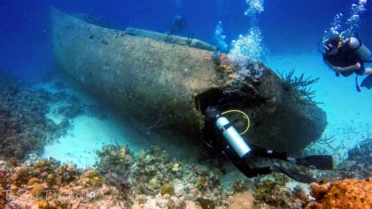 ⛴ Dive Site: Le Basin
 📍 Bay of Pigs, Cuba
📸 TSD user ‘DiveDiveDive’
👉thescubadirectory.com/divesiteprofil…

#TheScubaDirectory #Cuba #underwaterphotography #shipwreck #Caribbean #ScubaDivingMag #PADI #paditv #scubadivelife #scubadive #scubadiving #divelife #scuba #dive