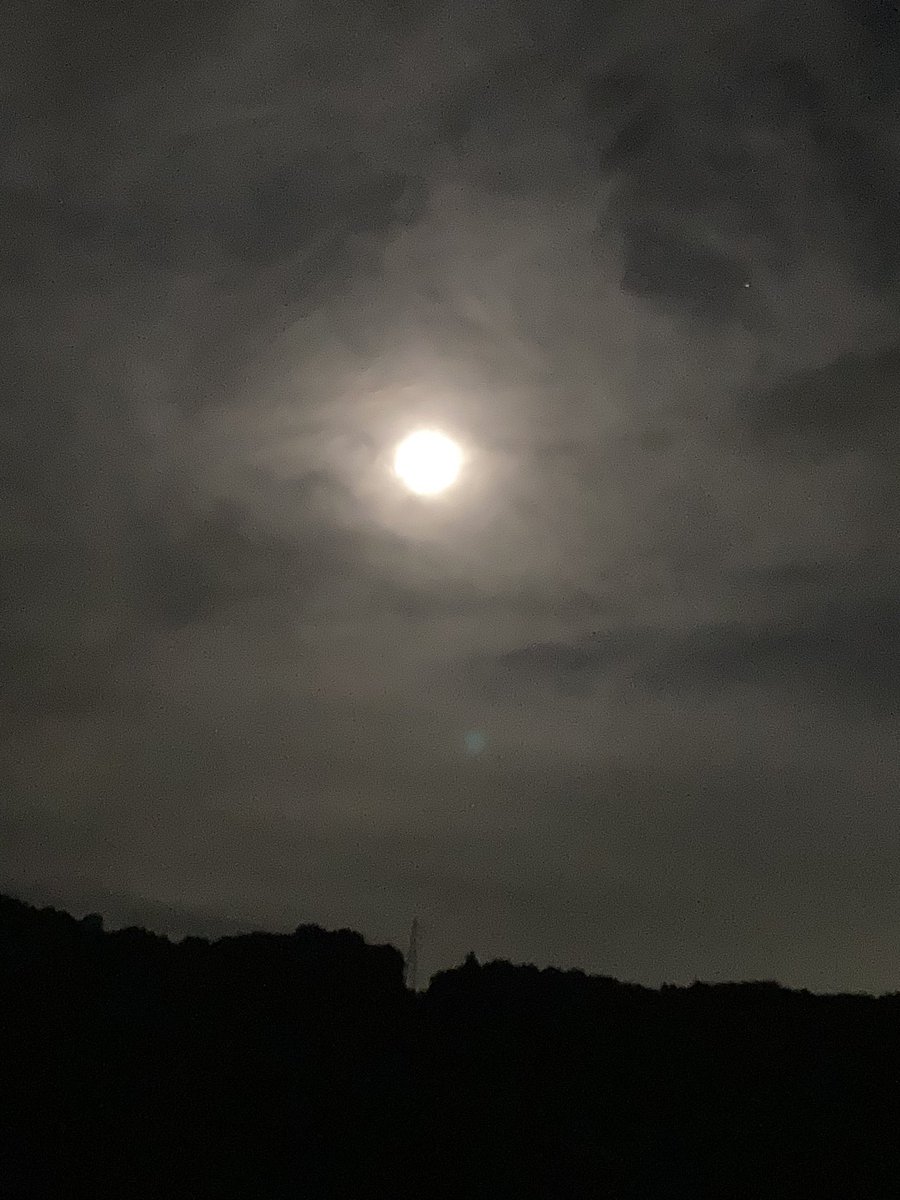 Hotaru_vt's tweet photo. スーパームーン🌕
全身で宇宙のパワー受け止めたる😚

 #スーパームーン https://t.co/vrczTeUFPn