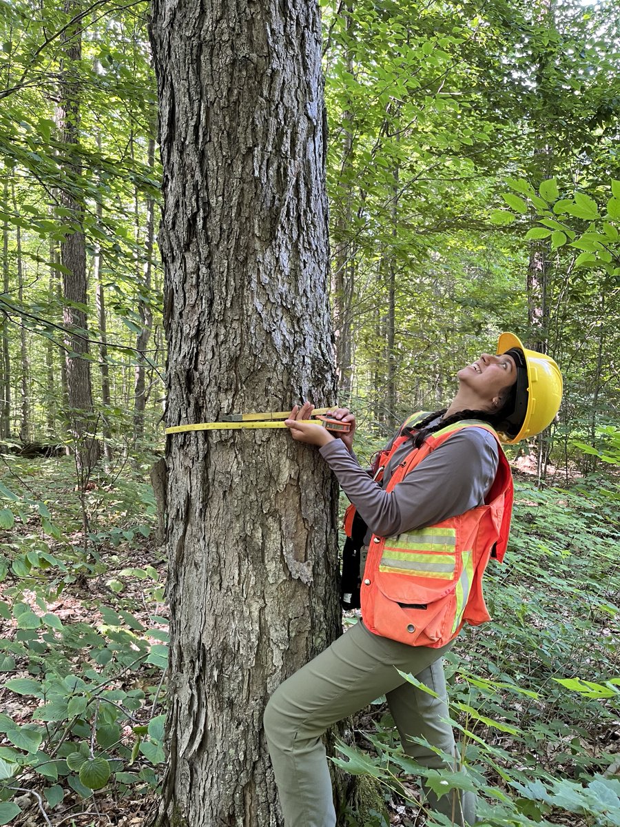 ONresources's tweet photo. Each year, we welcome #StudentsInScience from across Ontario to support research and monitoring efforts.
Meet Aliya, a master of forest conservation student at the University of Toronto.
https://t.co/RsOCURjtd8
#ScienceON #SummerStudent https://t.co/enTil0Sx2U