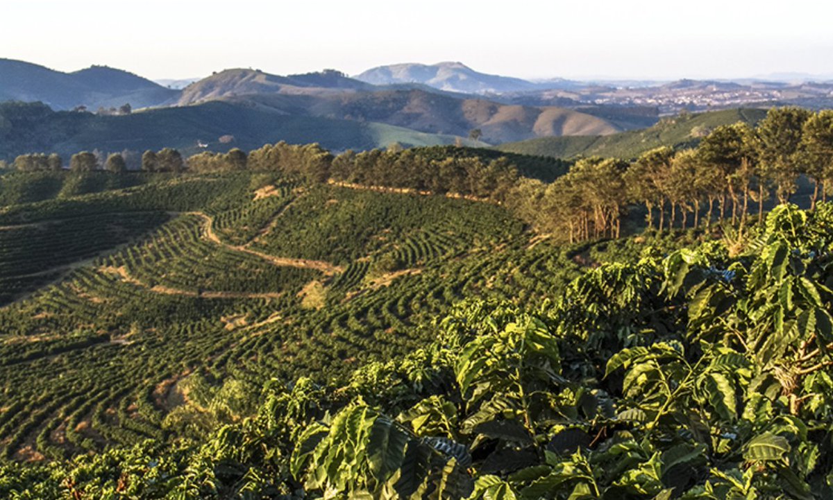 #ThoughtfulThursday O foco na biodiversidade e na tecnologia do Brasil impulsionará o comércio com o Reino Unido tinyurl.com/mu8a6cz9 Hoje o Brasil responde por oito por cento das exportações mundiais de produtos agrícolas #scienceandenvironment #agribiz #precisionagriculture