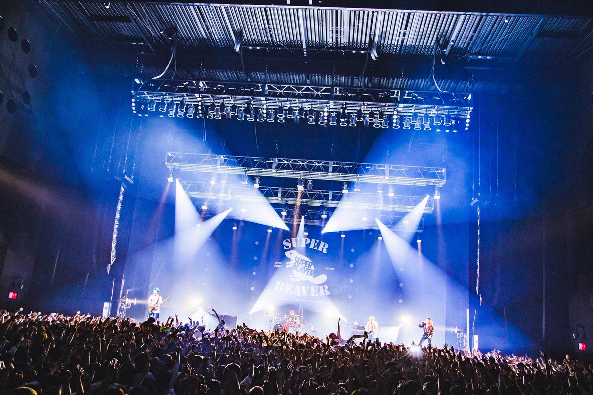 SUPERBEAVER 】 都会のラクダSP ～サシ飲み五番勝負、ラクダグビグビ