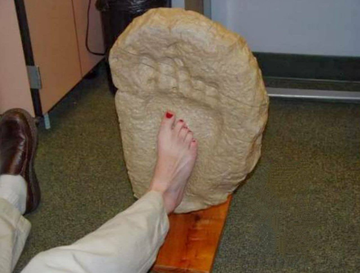 Заблудший Овц tweet media