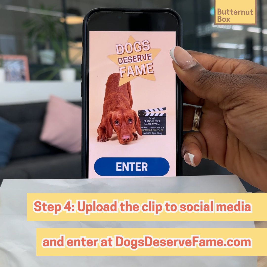 Entering our Dogs Deserve Fame competition is as easy as 1,2,3...4.

If your dog wants to star in our next TV ad (and why wouldn't they?), check out these four easy steps to submitting your entry via the link in our bio today 🐩

#DogsDeserveFame