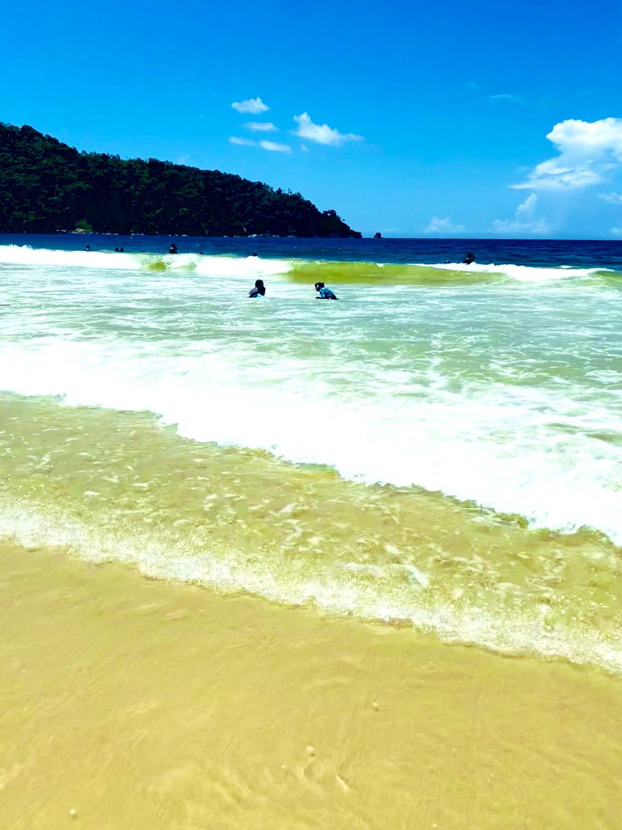 Alisha Ali tweet media