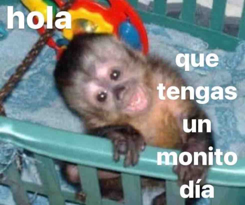 Guarromantico_'s tweet photo. https://t.co/Loczwf0GsC