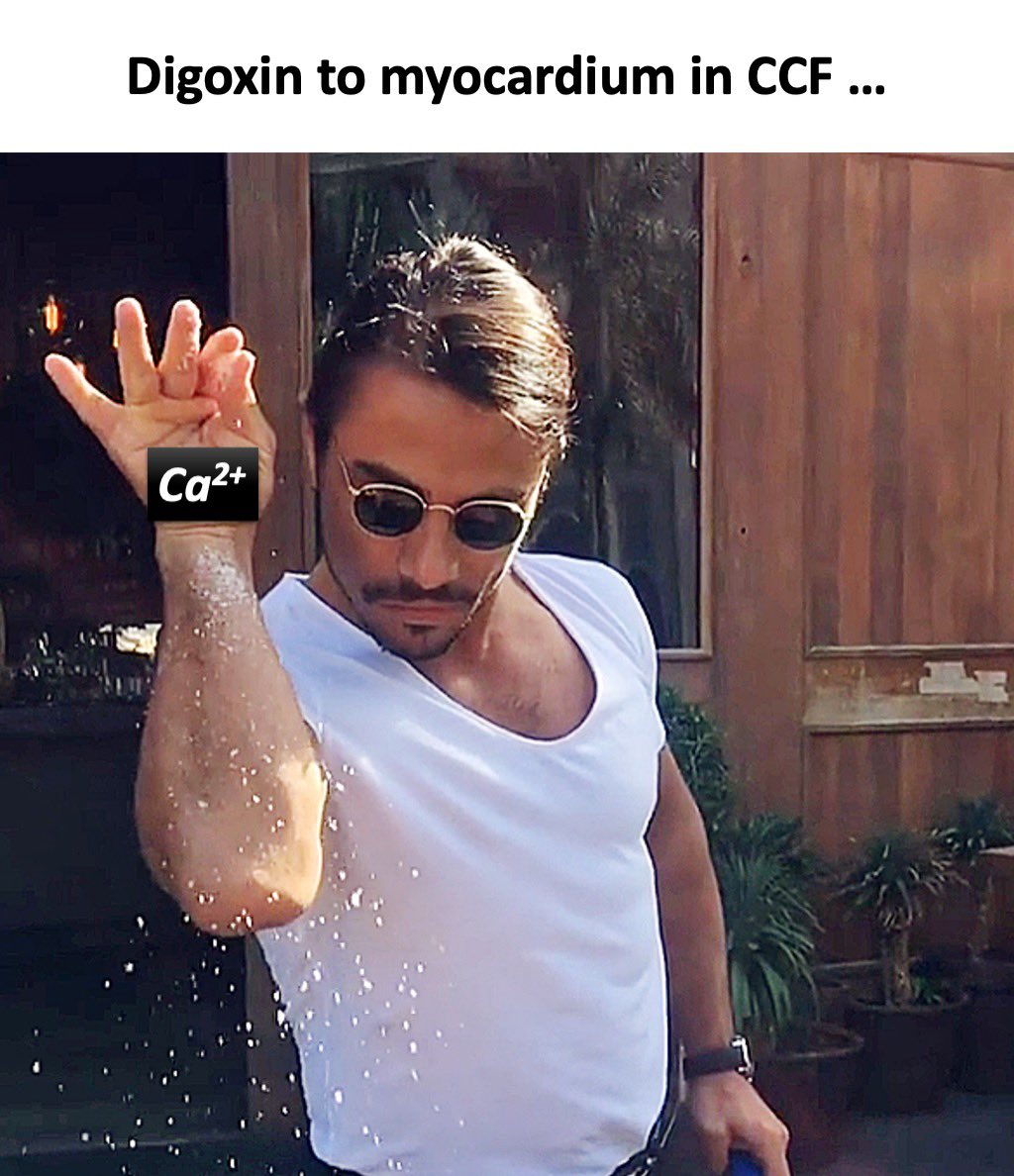 📍Digoxin binds to extracellular face of Na+/K+ ATPase on myocardial fibres. Inhibition of enzyme: progressive accumulation of more Na+ intracellularly.

📍For 3Na+/Ca2+ antiporter: transmembrane gradient for Na+ is reduced. More calcium is retained intracellularly; more loading…