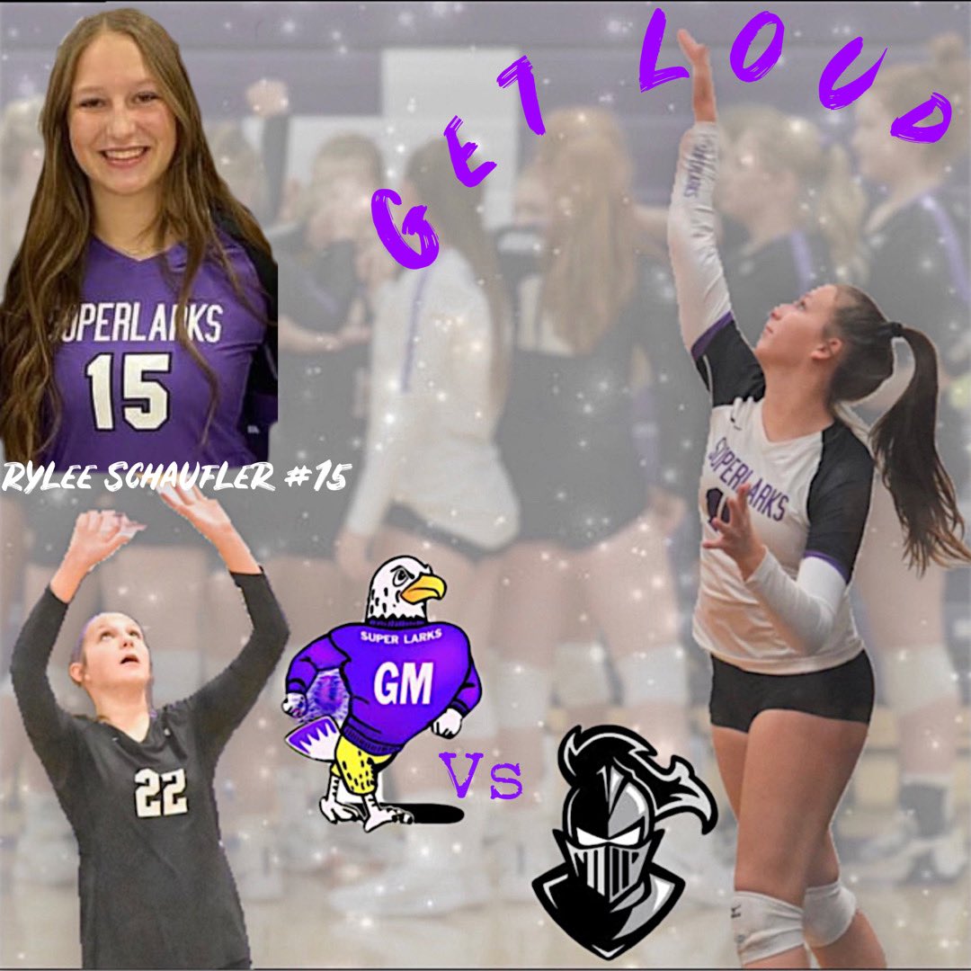 @SuperlarkVolleyball tweet media