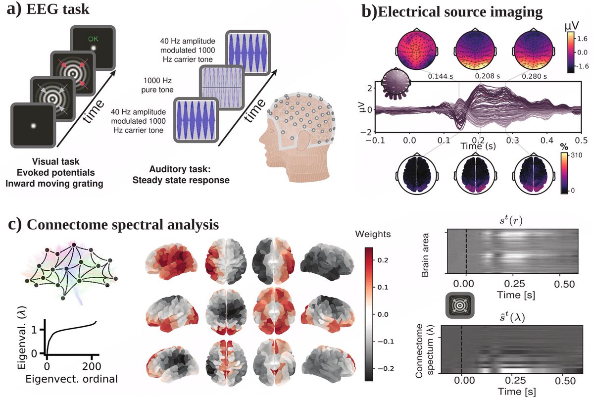brain_GSP's tweet photo. 🧠 graph: SC from diffusion MRI
🧠 graph signals : EEG
GSP method: GFT
Application: prediction of performance in a behavioral task.
https://t.co/nwDquGLswG
#bgsp #brainGSP #eeg_bgsp #bgsp_gft https://t.co/0BX7e3vUTW