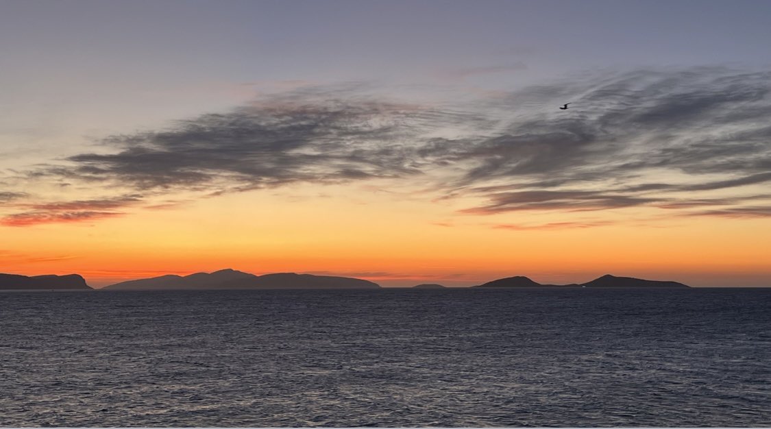 annagloyn's tweet photo. What a fantastic week on Spetses for the @FEBSnews Summer School on Epigenetics &amp; Nuclear receptors - great science, amazing trainees, wonderful colleagues &amp; even the landscape looks like a super enhancer!   Thanks for the invite @EckardtTreuter @susmandrup @inespinedatorra https://t.co/gW0izWABBE
