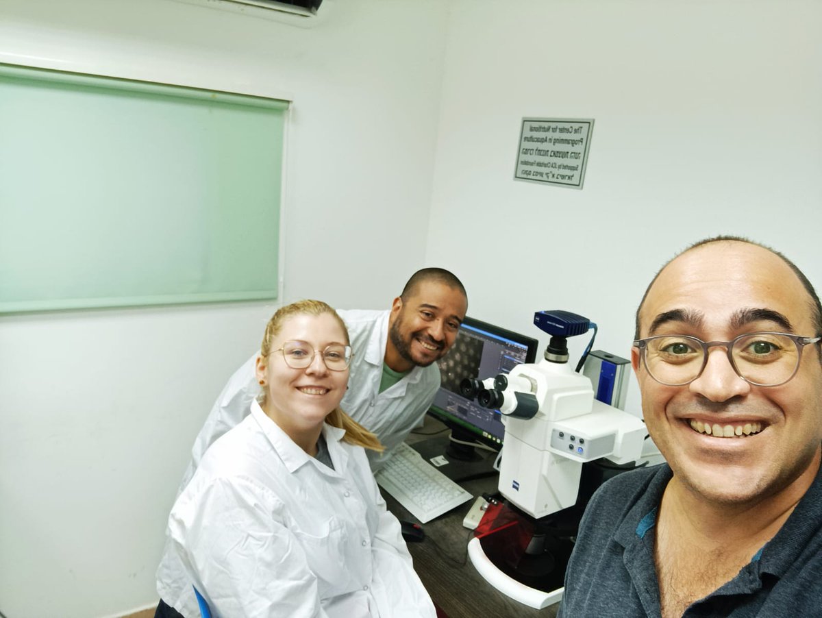 FishAI_'s tweet image. Anna Szabó, Ph.D. student at #UGent  partner participated in a short research stay at #IOLR partner in Eilat, Israel to set up a Fish AI in vitro model utilizing hydrogel supports and custom-made inserts of #BIOFABICS.