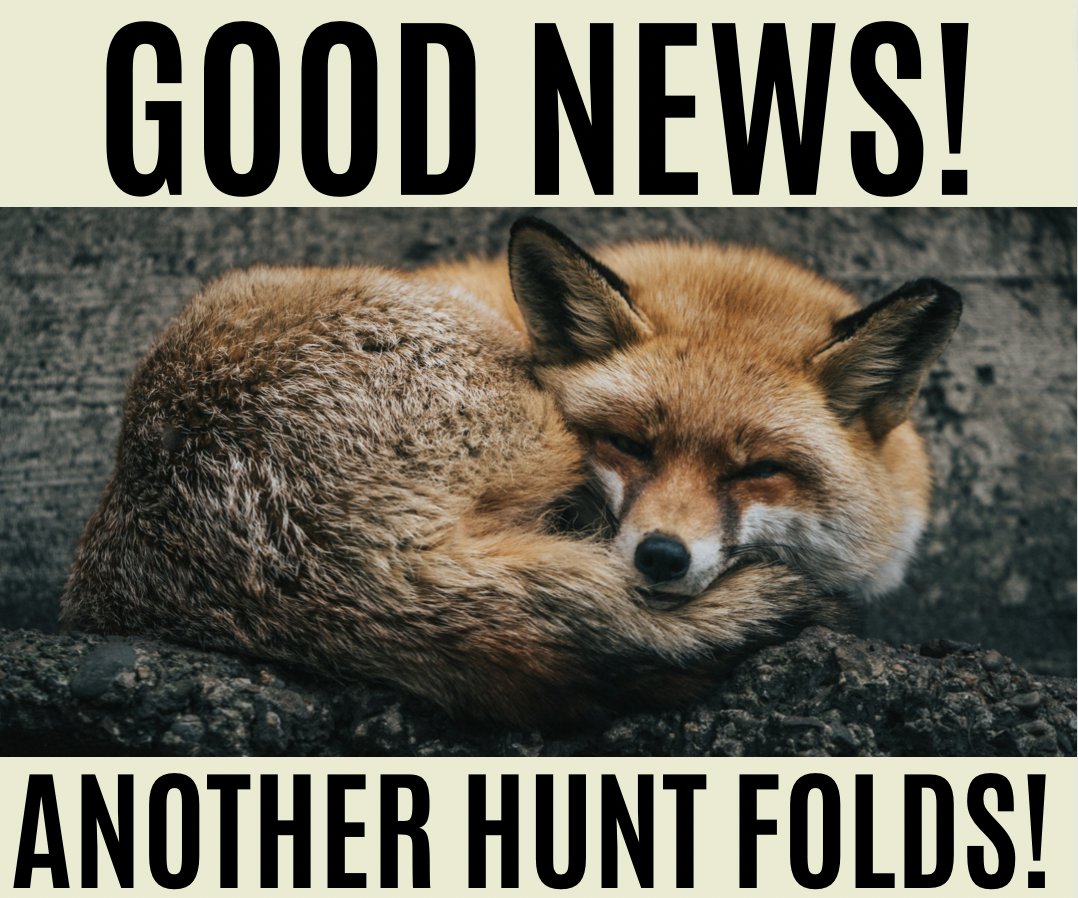 Protect the Wild (@protectthewild_) on Twitter photo LLANDEILO FARMERS HUNT FOLDS
FOX HUNTING IS DYING
<a href="/ProtectTheWild_/">Protect the Wild</a> follow us and help protect British wildlife LLANDEILO FARMERS HUNT FOLDS
FOX HUNTING IS DYING
<a href="/ProtectTheWild_/">Protect the Wild</a> follow us and help protect British wildlife