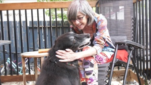 workingman67401's tweet photo. Sask. Woman with terminal cancer finds new homes for three dogs https://t.co/1cINBuk7kI