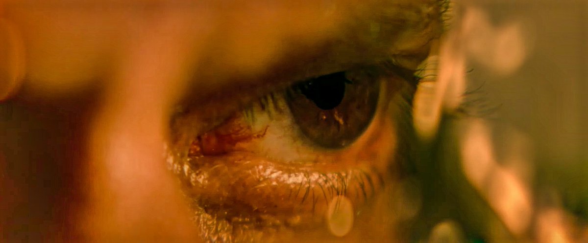 FB_BFKK's tweet photo. The eyes Chico, they never lie.
#Jawan https://t.co/lcjKTkLDMf
