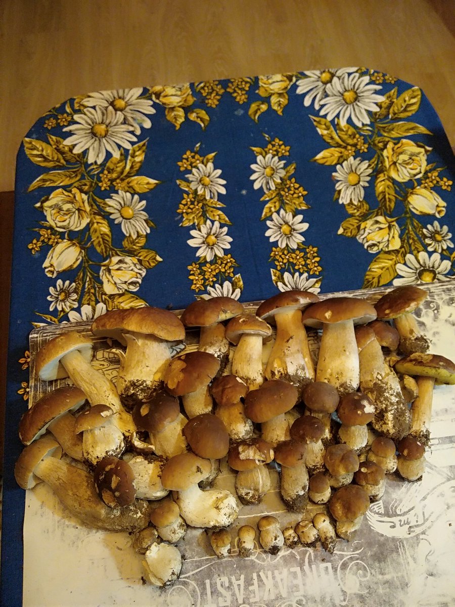 Полуторачасовая прогулка возле дачи)