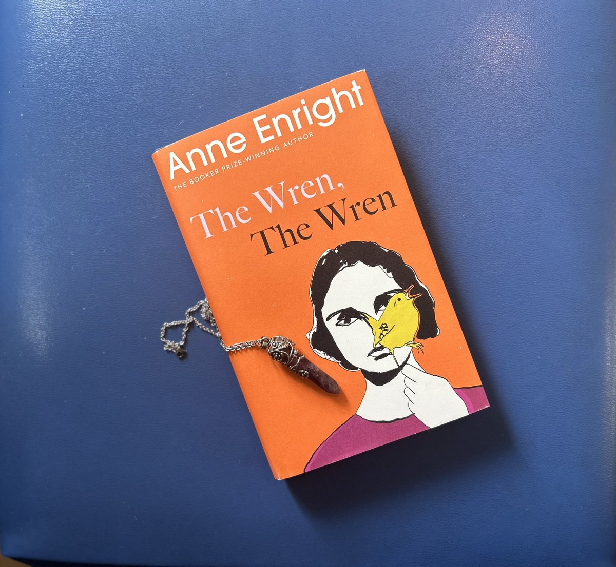 It is out today!
#AnneEnright #TheWrenTheWren, from @jonathancape

#fiction #newbooks #publicationday #London2023