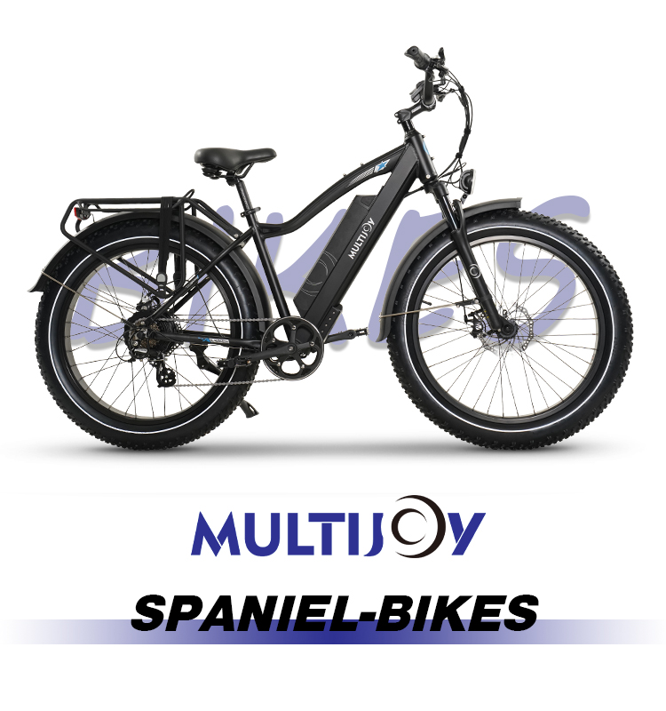 multijoyebikes tweet picture