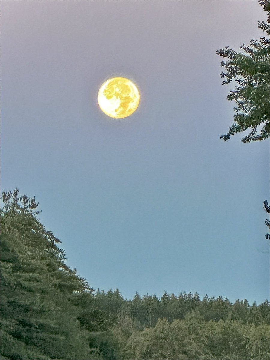 Wool_Witch's tweet photo. @admired_art Got it this morning as the sun was coming up in New Hampshire! So beautiful! https://t.co/tpzejCrhkS