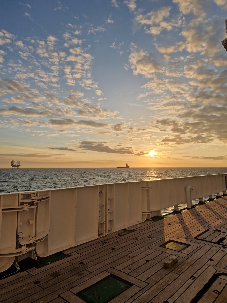 Sarah Maes tweet media