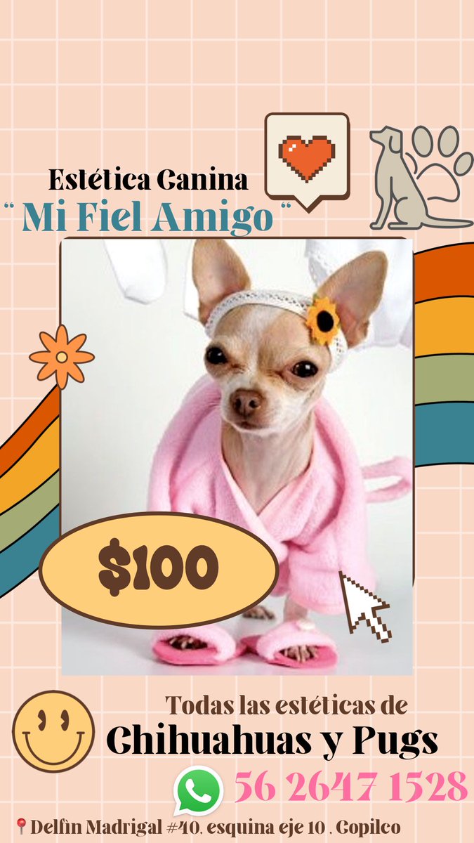 acostabar's tweet photo. 🐶🥳súper Promos en la estética ! Aprovechen ! https://t.co/MsD6m2jKtO