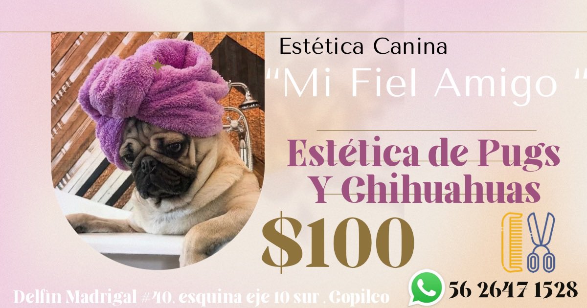 acostabar's tweet photo. 🐶🥳súper Promos en la estética ! Aprovechen ! https://t.co/MsD6m2jKtO