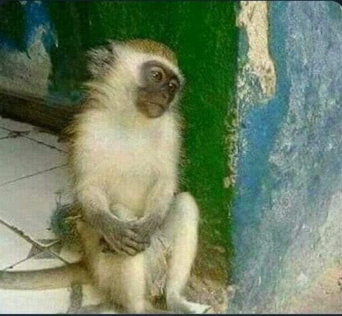 Zvenyu vamwe kubasa kwenyu munotambira. Kwedu tinotendwa😔