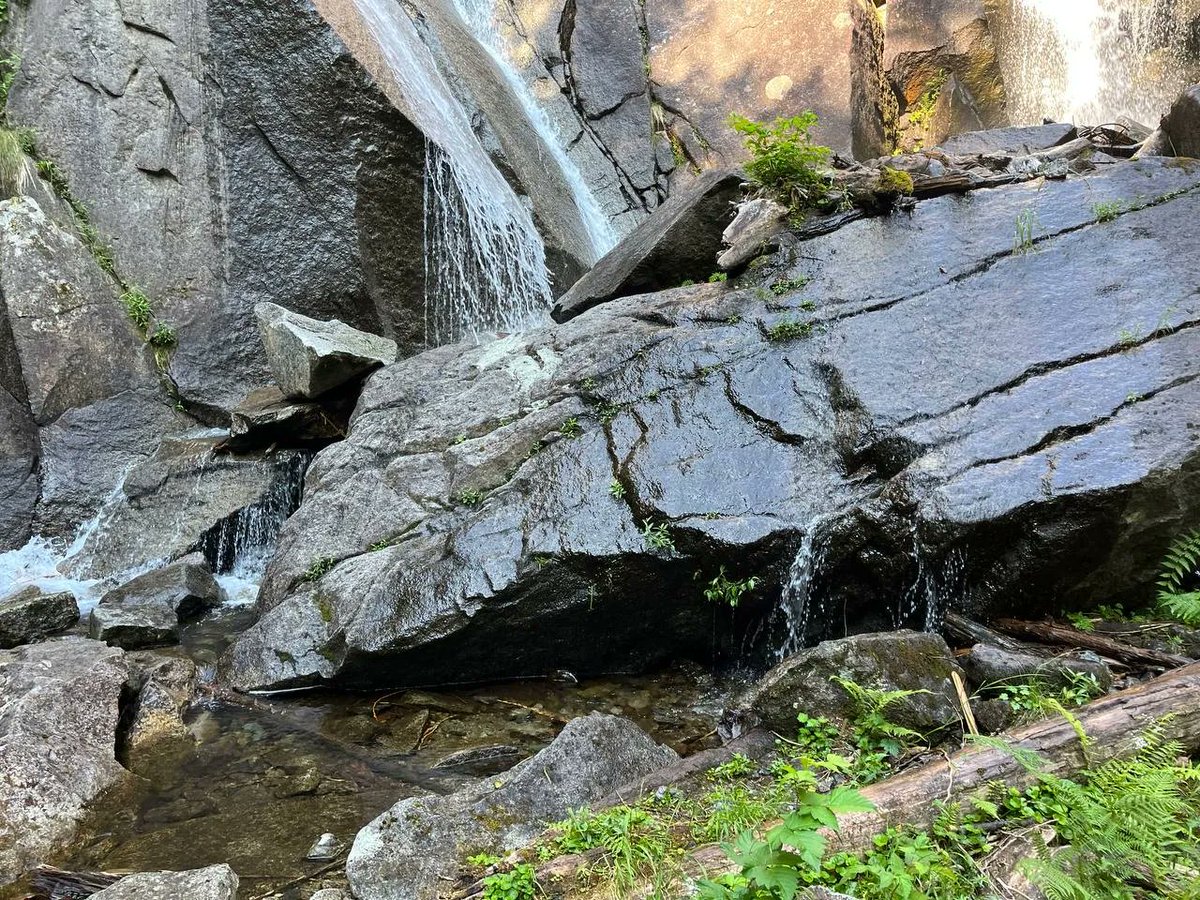 MuslimYouthUSA's tweet photo. 8.2 mile hike for our #MuslimYouth of @MKA_Seattle after Fajr (morning) prayers. Appreciating the magnificence of Allah through the wonderful and scenic views.
Taking a breather once the destination was reached before trekking back down and finding a waterfall.
#FajrFit #MKAFit https://t.co/YWtlXdiyDr