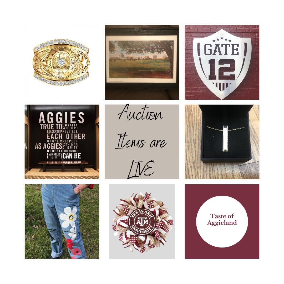 Going LIVE Today! Bid on jewelery, experiences, and boutique items to support Aggie Women! #connect #engage #giveback tinyurl.com/y3dtk9hc