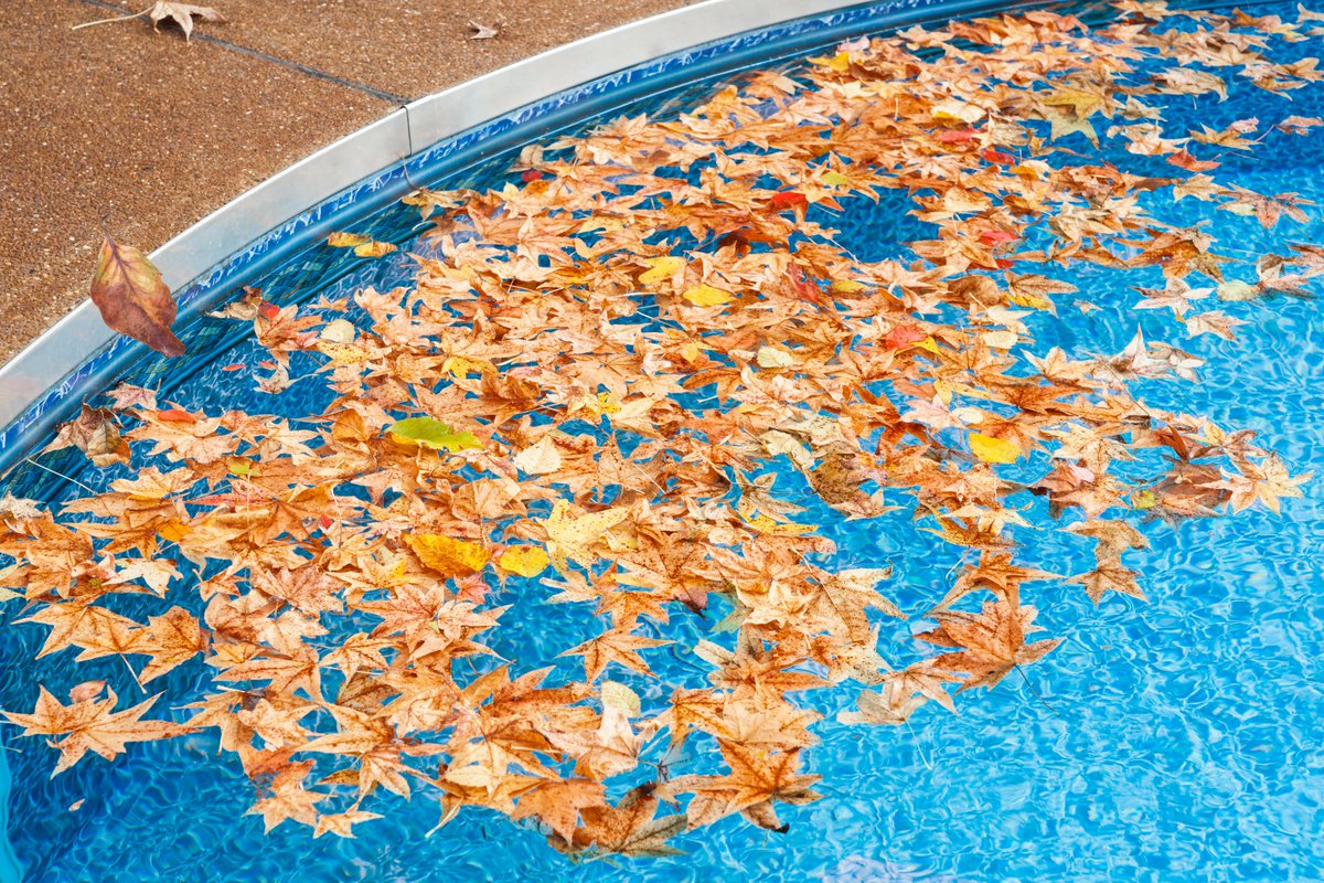 poolsuppliescom's tweet image. Embracing the cool breeze while taking a refreshing dip – it&apos;s that magical time of year! Our pool warriors know how to enjoy every season. Who&apos;s up for a brisk swim? 🏊‍♂️❄️ #ChillyDip #SeasonalSwim #PoolAdventures