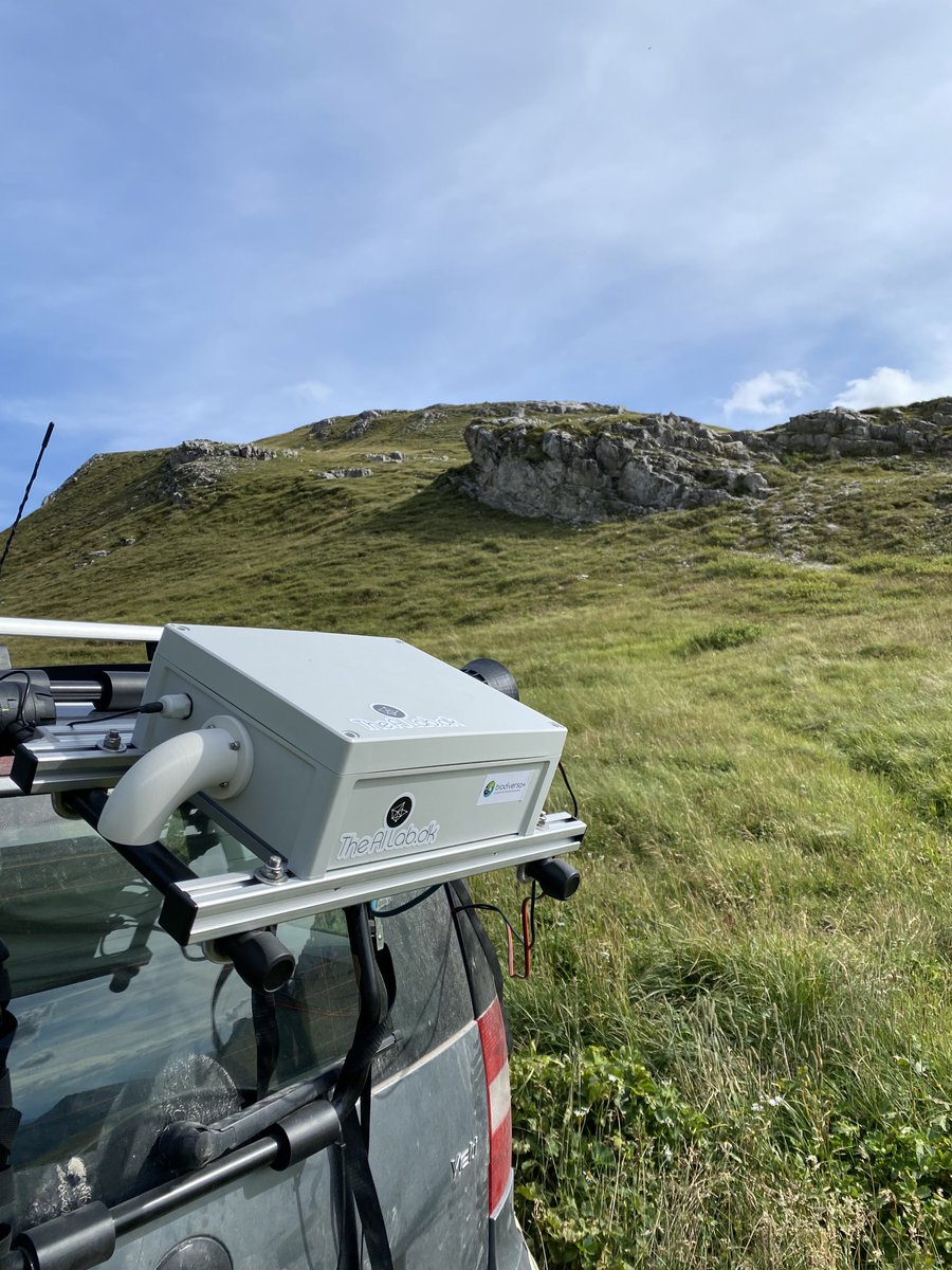 Julia Seeber (@julesibk) on Twitter photo Invasive species sub-pilot <a href="/BiodiversaPlus/">Biodiversa+ (European Biodiversity Partnership)</a> meets #BiodiversityMonitoringSouthTyrol: today, the plant camera joined us for some really remote sites <a href="/EuracAlpine/">Alpine Environment - Eurac Research</a> <a href="/TokeHoye/">Toke Thomas Høye</a> <a href="/AndreasHilpold/">Andreas Hilpold</a> Invasive species sub-pilot <a href="/BiodiversaPlus/">Biodiversa+ (European Biodiversity Partnership)</a> meets #BiodiversityMonitoringSouthTyrol: today, the plant camera joined us for some really remote sites <a href="/EuracAlpine/">Alpine Environment - Eurac Research</a> <a href="/TokeHoye/">Toke Thomas Høye</a> <a href="/AndreasHilpold/">Andreas Hilpold</a>