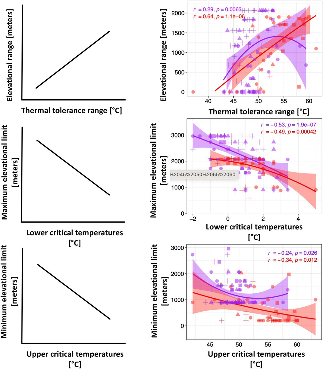 🔥Published 📈In one of the largest field campaigns of its kind, @imrankhaliq9 et al. found that #ecophysiologicaltraits predicted #speciesdistributions for 116 species across four taxonomic groups across two elevational #transects. Take a closer look 👉doi.org/10.1111/1365-2…