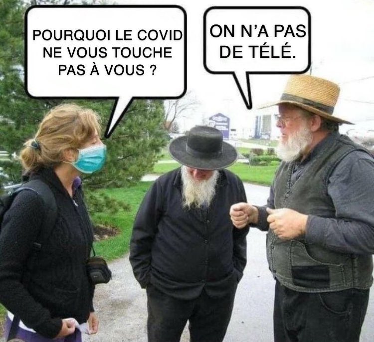 MenchOsint tweet media