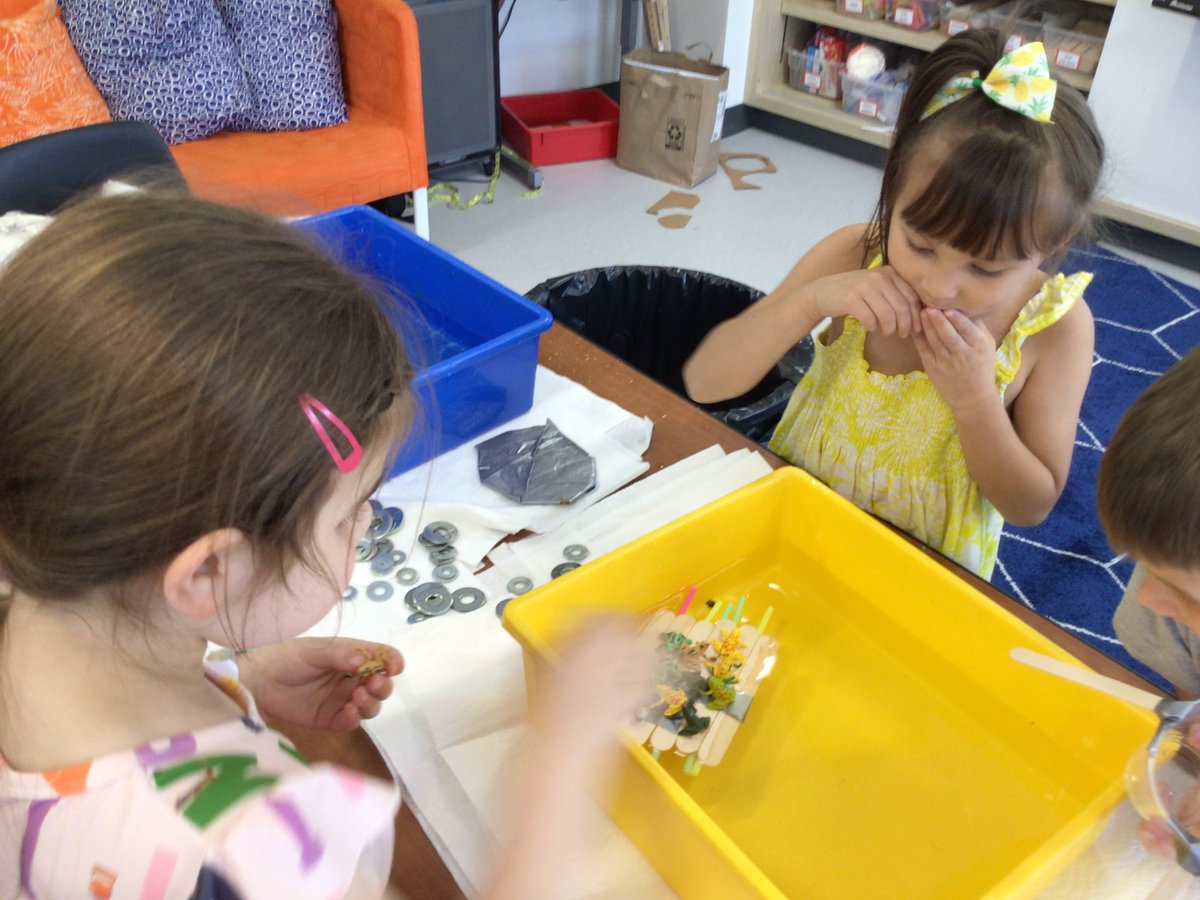 BlackwellLEAP's tweet image. 1st & 2nd grade @GiftedFlyers explored the #EngineeringDesignProcess today as they designed, built, tested, and re-designed lily pads for frogs.