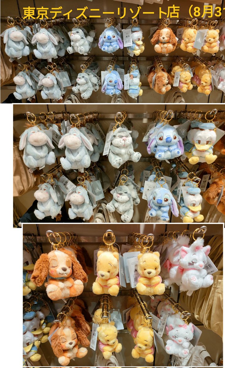 TDR ディズニー ぷらん on X: TDR ディズニー ぷらん on X: