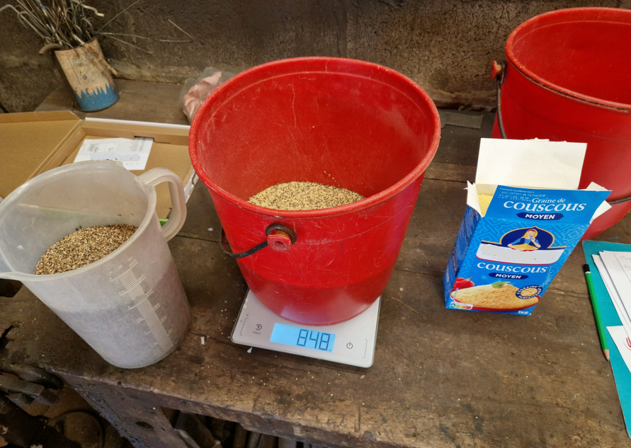 Non, cet agri du groupe ne prépare pas un couscous mais son semis de chicorée ! 🥬
Une prod. de semences originale sur le secteur, qu'il conduit sans irrigation 🚿, sans fongi ni insecticide 👌
Une grosse gestion des adventices nécessaire par contre 🤯
#ecophyto <a href="/Dephy_Ecophyto/">Réseau DEPHY</a>